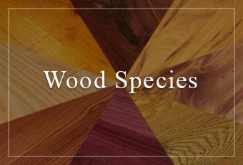 Wood Species available from Rehmeyer Custom Wood Floors