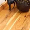Wide Plank Hickory Flooring Hard Wax Oil Finish 2